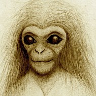 Wikimedia Commons